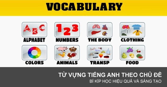 học từ vựng theo chủ đề