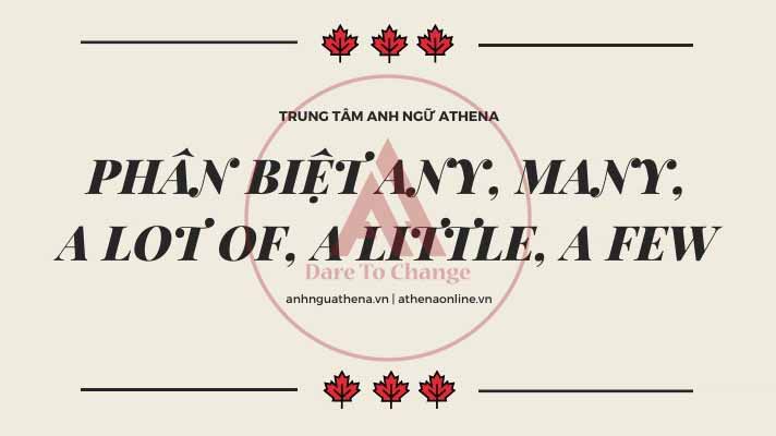 Phân biệt Any, Many, A lot of, A little, A few