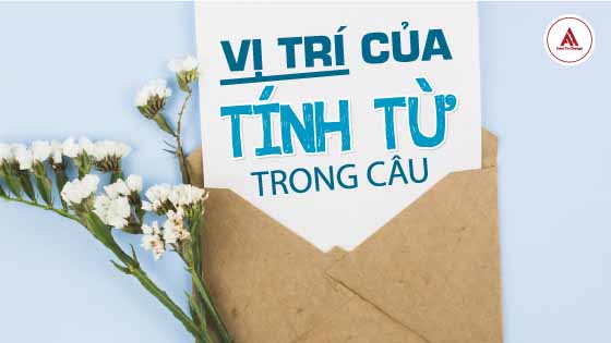 BÍ KÍP GHI NHỚ VỊ TRÍ CỦA TÍNH TỪ TRONG CÂU