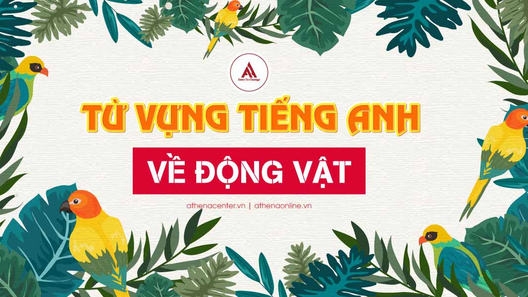 TỔNG HỢP CÁC TỪ VỰNG TIẾNG ANH VỀ ĐỘNG VẬT