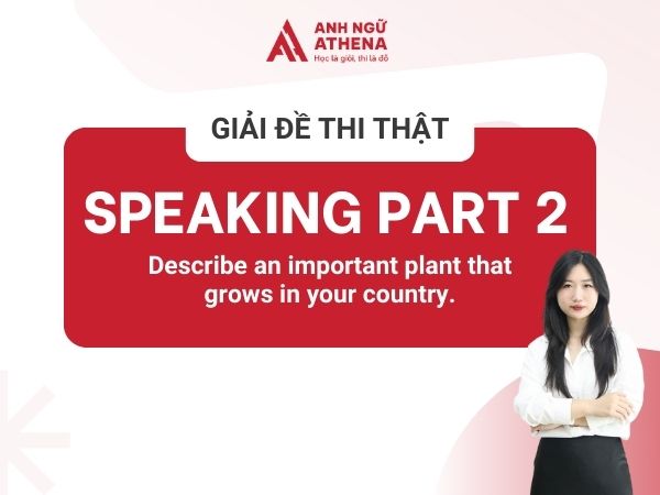 Bài mẫu và Bài dịch IELTS Speaking Part 2 chuẩn chỉnh nhất