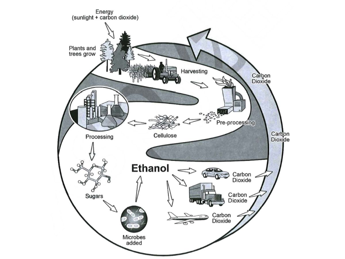 Giải IELTS Writing Task 01 Test 03 Cambridge 19